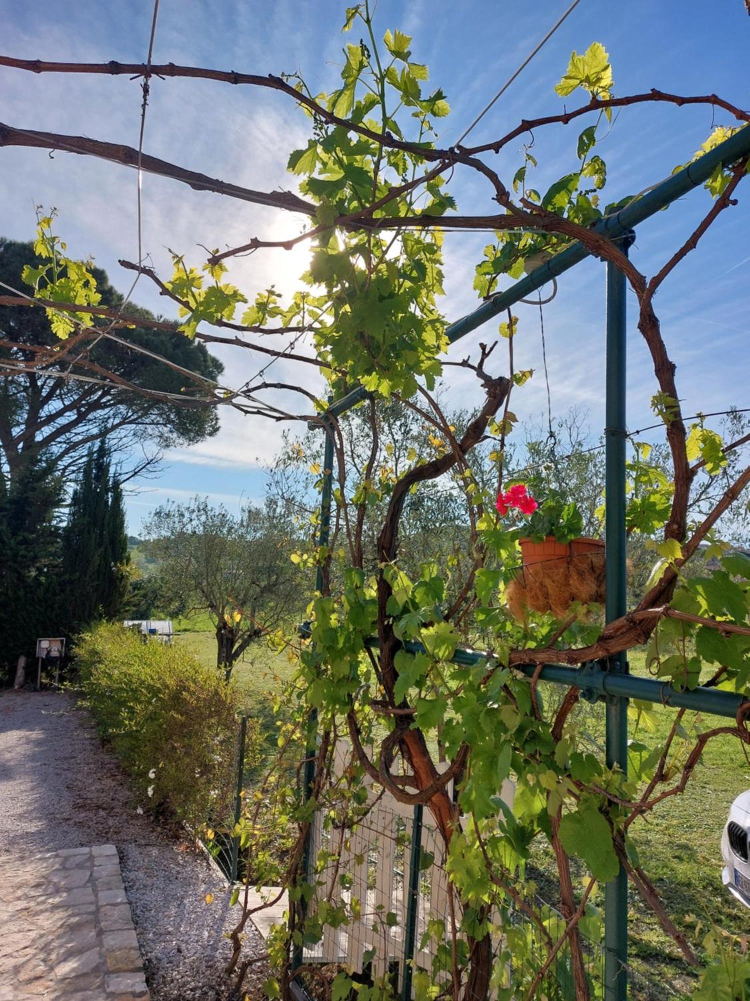 Vento E Mare Bed & Breakfast Riotorto Exterior photo
